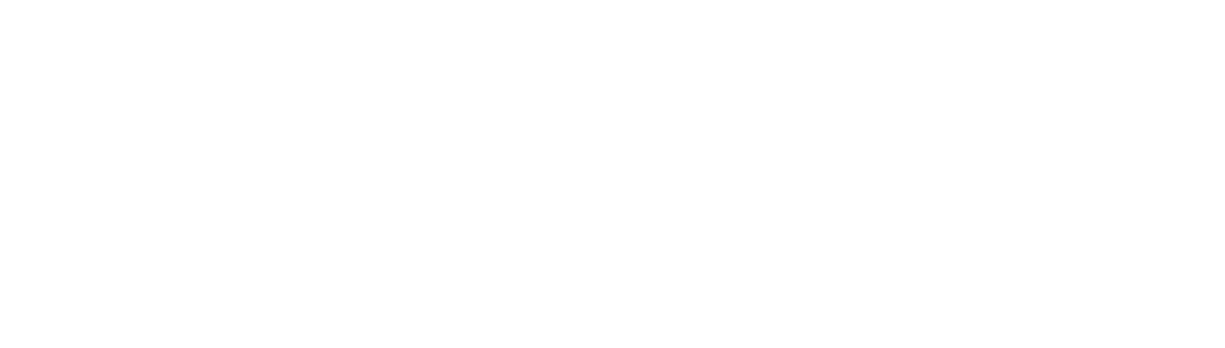 COMPLYPORT Logo